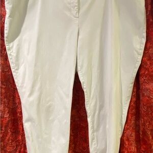 The Limited Dress Pants